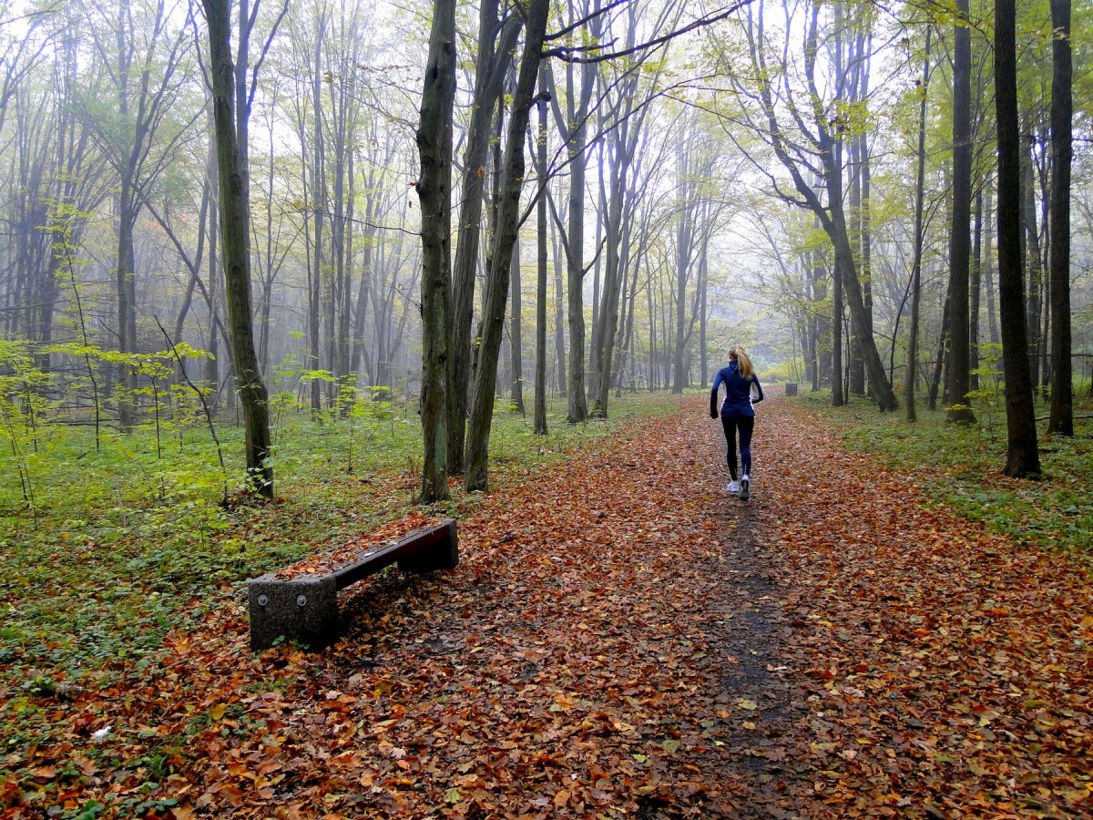 Zdjęcia: Białystok, Podlasie, Jesienne klimaty., POLSKA Zdjęcia: Białystok, Podlasie, Jesienne klimaty., POLSKA