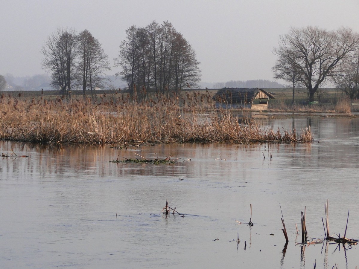Zdjęcia: Waniewo, Podlasie, W dolinie Narwi., POLSKA Zdjęcia: Waniewo, Podlasie, W dolinie Narwi., POLSKA