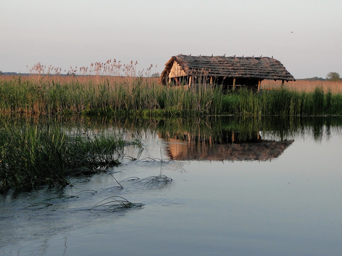 Zdjęcia: Waniewo, Podlasie, Podlaskie klimaty., POLSKA Zdjęcia: Waniewo, Podlasie, Podlaskie klimaty., POLSKA