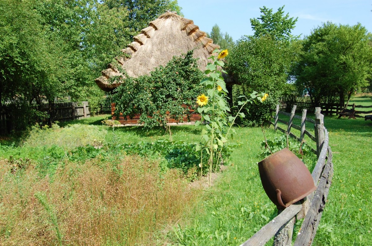Zdjęcia: Wasilków, podlaskie, pod Białymstokiem , POLSKA Zdjęcia: Wasilków, podlaskie, pod Białymstokiem , POLSKA