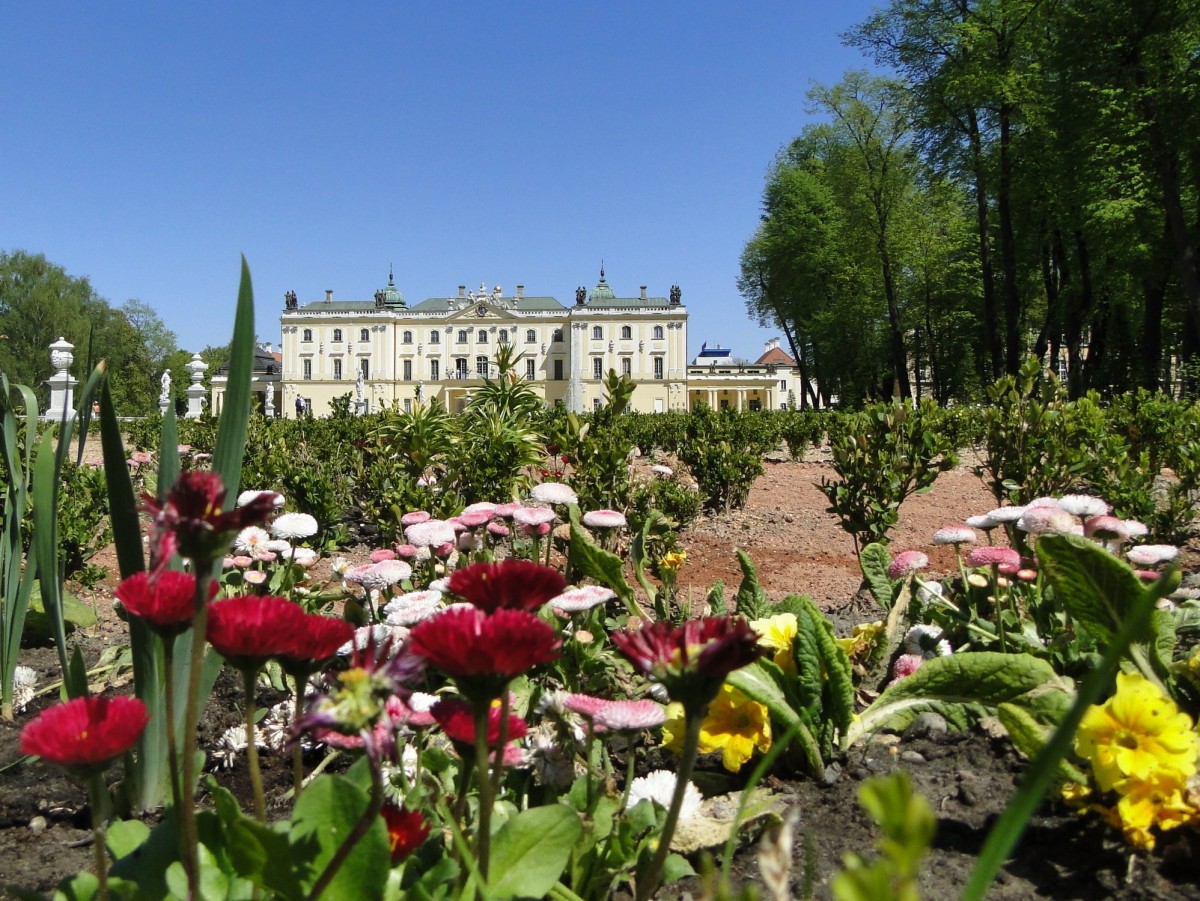 Zdjęcia: Białystok, Podlasie, Z cyklu: mój Białystok, POLSKA Zdjęcia: Białystok, Podlasie, Z cyklu: mój Białystok, POLSKA