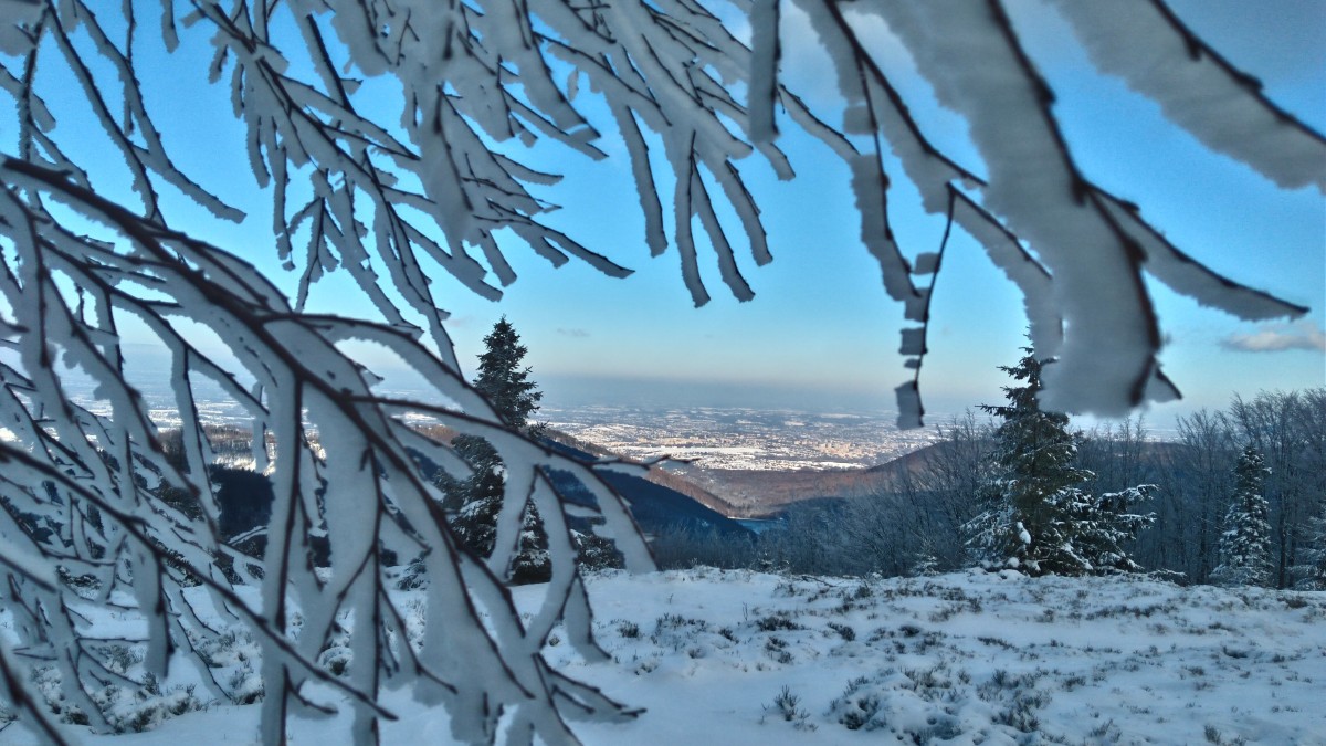 Zdjęcia:  Błatnia, beskid śląski, zima na Błatniej , POLSKA Zdjęcia:  Błatnia, beskid śląski, zima na Błatniej , POLSKA