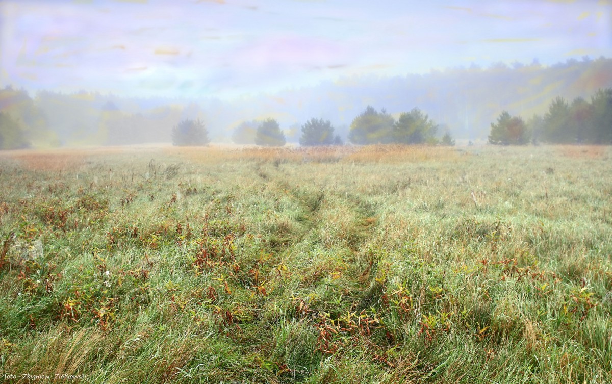 Zdjęcia: Nadnoteckie łęgi,  pow-żniński , Malarsko..., POLSKA Zdjęcia: Nadnoteckie łęgi,  pow-żniński , Malarsko..., POLSKA