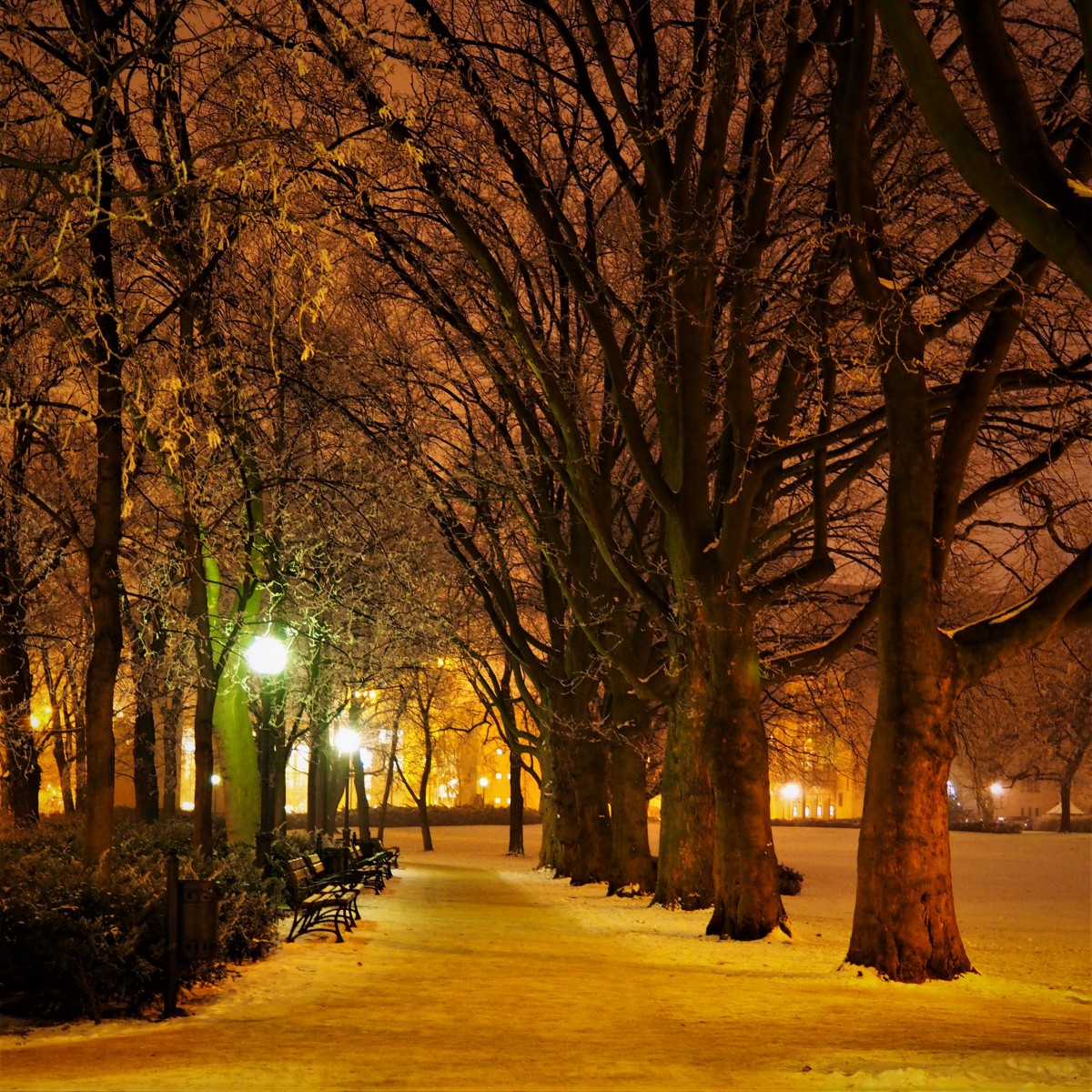 Zdjęcia: Poznań, Wielkopolska, nocą..., POLSKA Zdjęcia: Poznań, Wielkopolska, nocą..., POLSKA