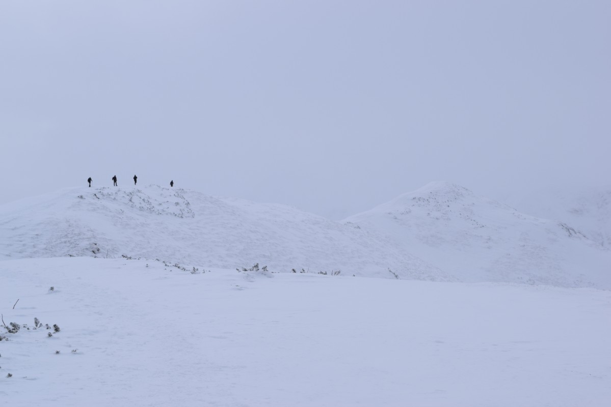 Zdjęcia: Ornak, Tatry Zachodnie, Tatry, POLSKA Zdjęcia: Ornak, Tatry Zachodnie, Tatry, POLSKA