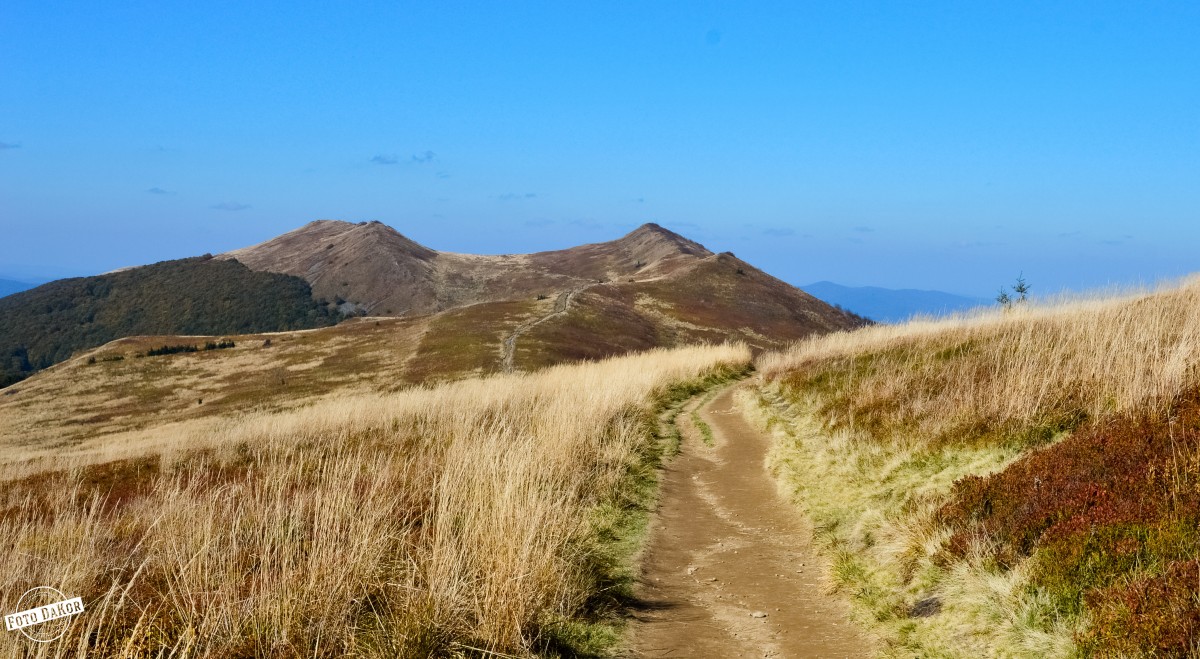 Zdjęcia: Połonina Wetlińska, Bieszczady, Połoninką Sobie Iść, POLSKA Zdjęcia: Połonina Wetlińska, Bieszczady, Połoninką Sobie Iść, POLSKA