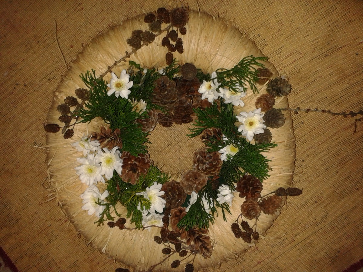 Zdjęcia: Opole, Opole, Stroiki opolskie, POLSKA Zdjęcia: Opole, Opole, Stroiki opolskie, POLSKA