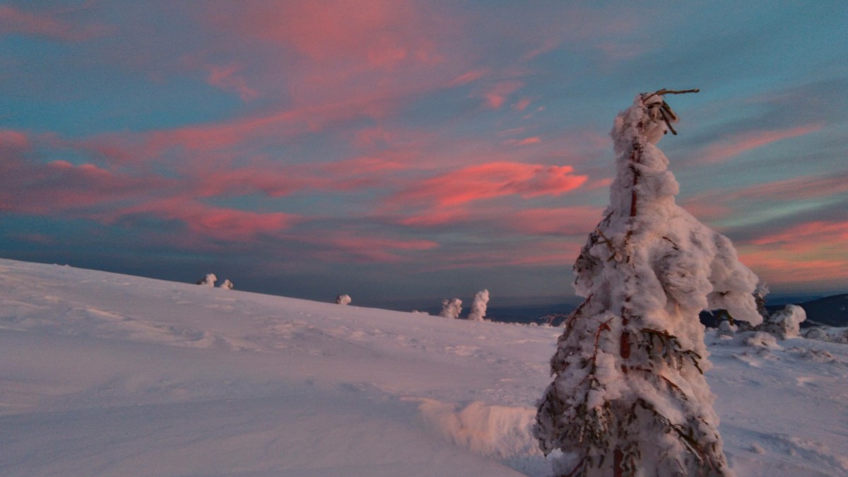 Zdjęcia: babia góra, beskidy, kolory wschodu.., POLSKA Zdjęcia: babia góra, beskidy, kolory wschodu.., POLSKA
