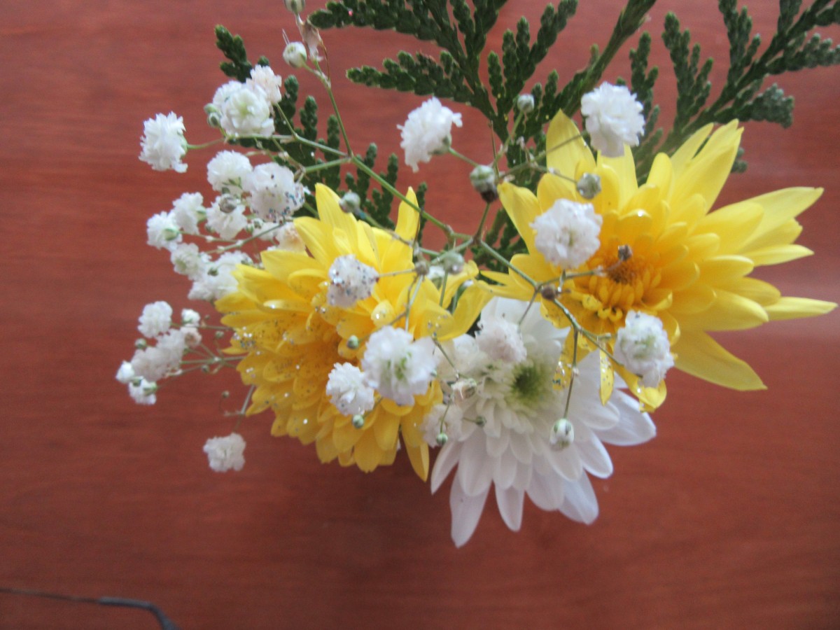 Zdjęcia: Opole, Opole, Opolskie stroiki, POLSKA Zdjęcia: Opole, Opole, Opolskie stroiki, POLSKA