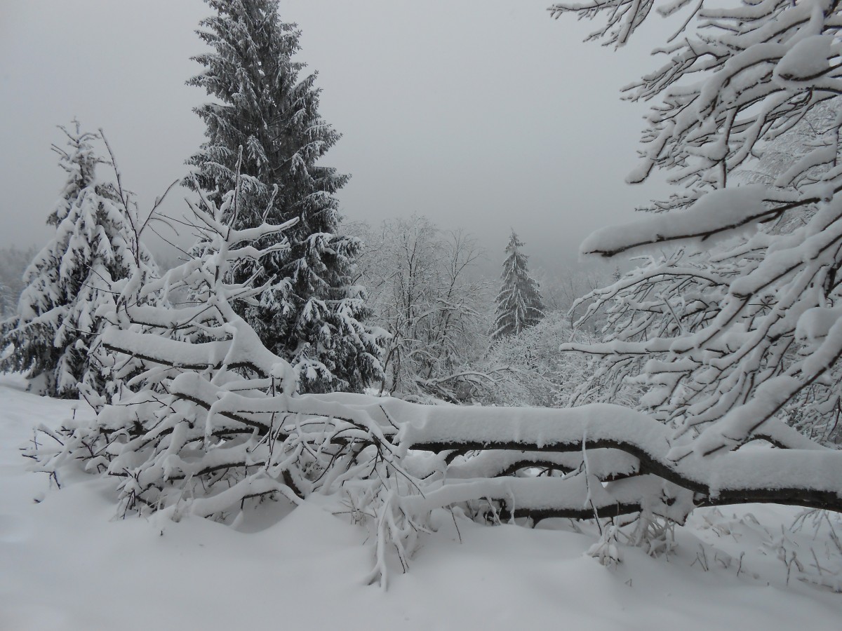 Zdjęcia: na szlaku..., beskid mały, biało...., POLSKA Zdjęcia: na szlaku..., beskid mały, biało...., POLSKA
