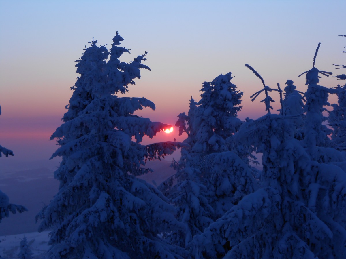 Zdjęcia: mogielica, beskid wyspowy, mroźny wschód, POLSKA Zdjęcia: mogielica, beskid wyspowy, mroźny wschód, POLSKA