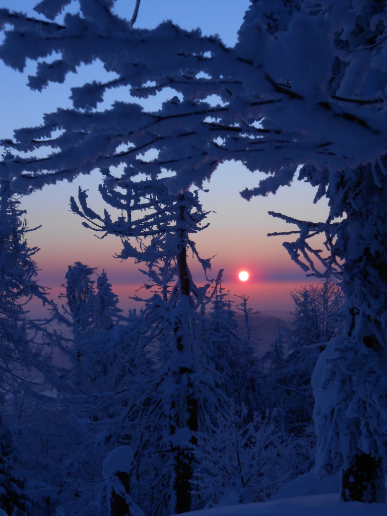 Zdjęcia: mogielica, beskid wyspowy, jest pięknie , POLSKA Zdjęcia: mogielica, beskid wyspowy, jest pięknie , POLSKA