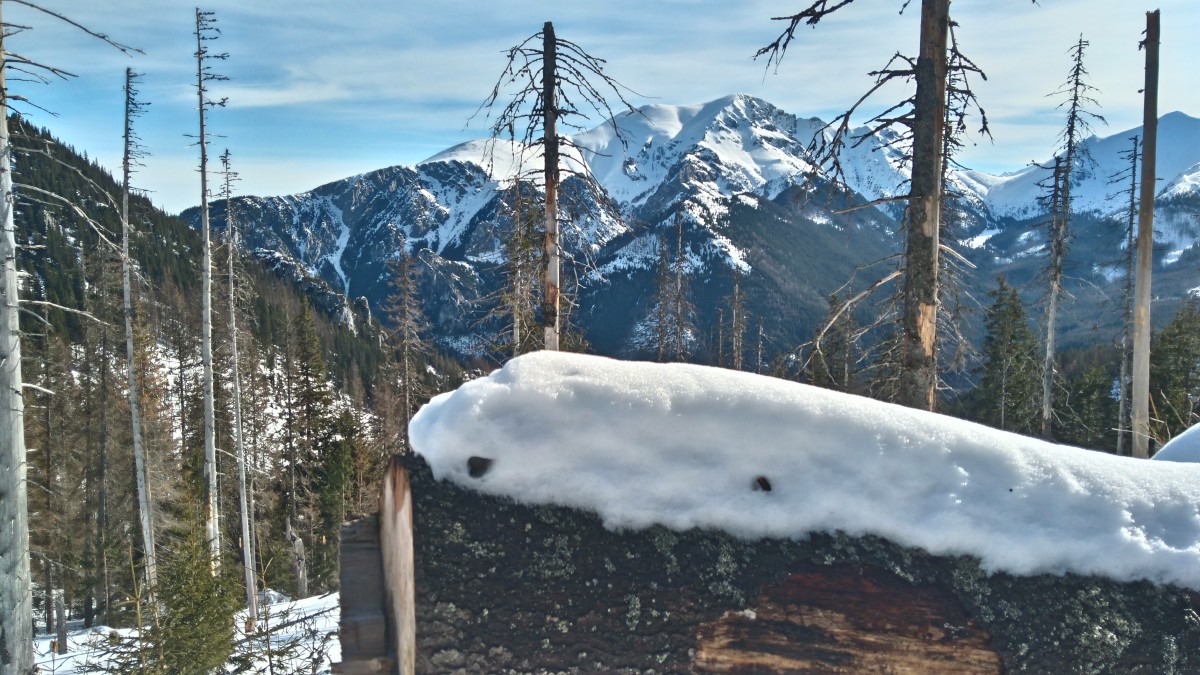 Zdjęcia: pod Ornakiem, tatry zachodnie, W drodze na Ornaki, POLSKA Zdjęcia: pod Ornakiem, tatry zachodnie, W drodze na Ornaki, POLSKA