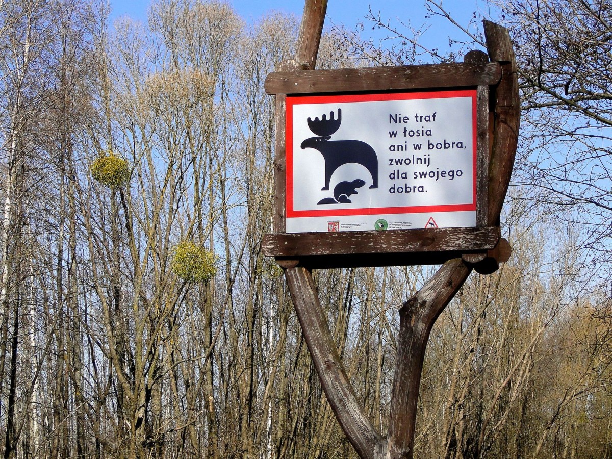 Zdjęcia: Dolina Biebrzy, Carska Szosa., Podlasie, Podlaskie klimaty., POLSKA Zdjęcia: Dolina Biebrzy, Carska Szosa., Podlasie, Podlaskie klimaty., POLSKA