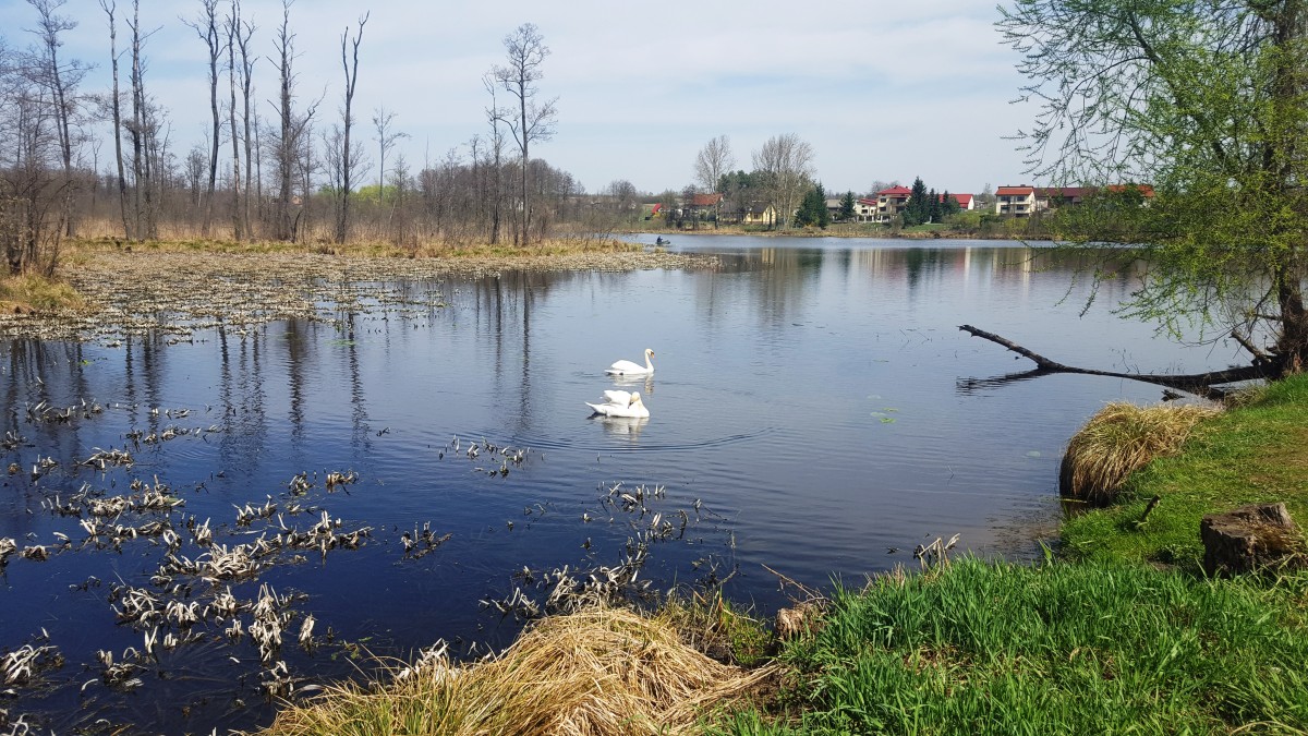 Zdjęcia: Nowodwór, Lubelskie, Lubelskie krajobrazy, POLSKA Zdjęcia: Nowodwór, Lubelskie, Lubelskie krajobrazy, POLSKA