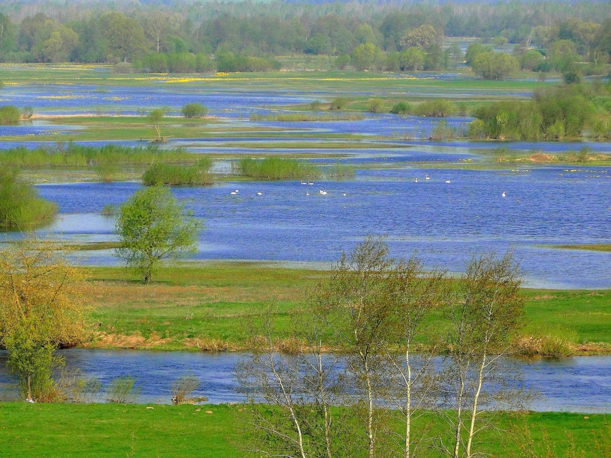 Zdjęcia: Strękowa Góra., Podlasie, Podlaska wiosna., POLSKA Zdjęcia: Strękowa Góra., Podlasie, Podlaska wiosna., POLSKA