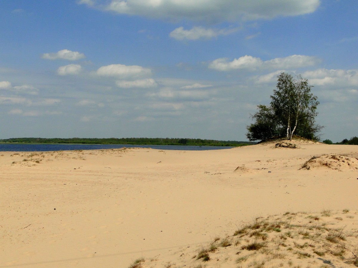 Zdjęcia: okolice wsi Grądy-Woniecko, Podlasie, Wydmy nad Narwią., POLSKA Zdjęcia: okolice wsi Grądy-Woniecko, Podlasie, Wydmy nad Narwią., POLSKA