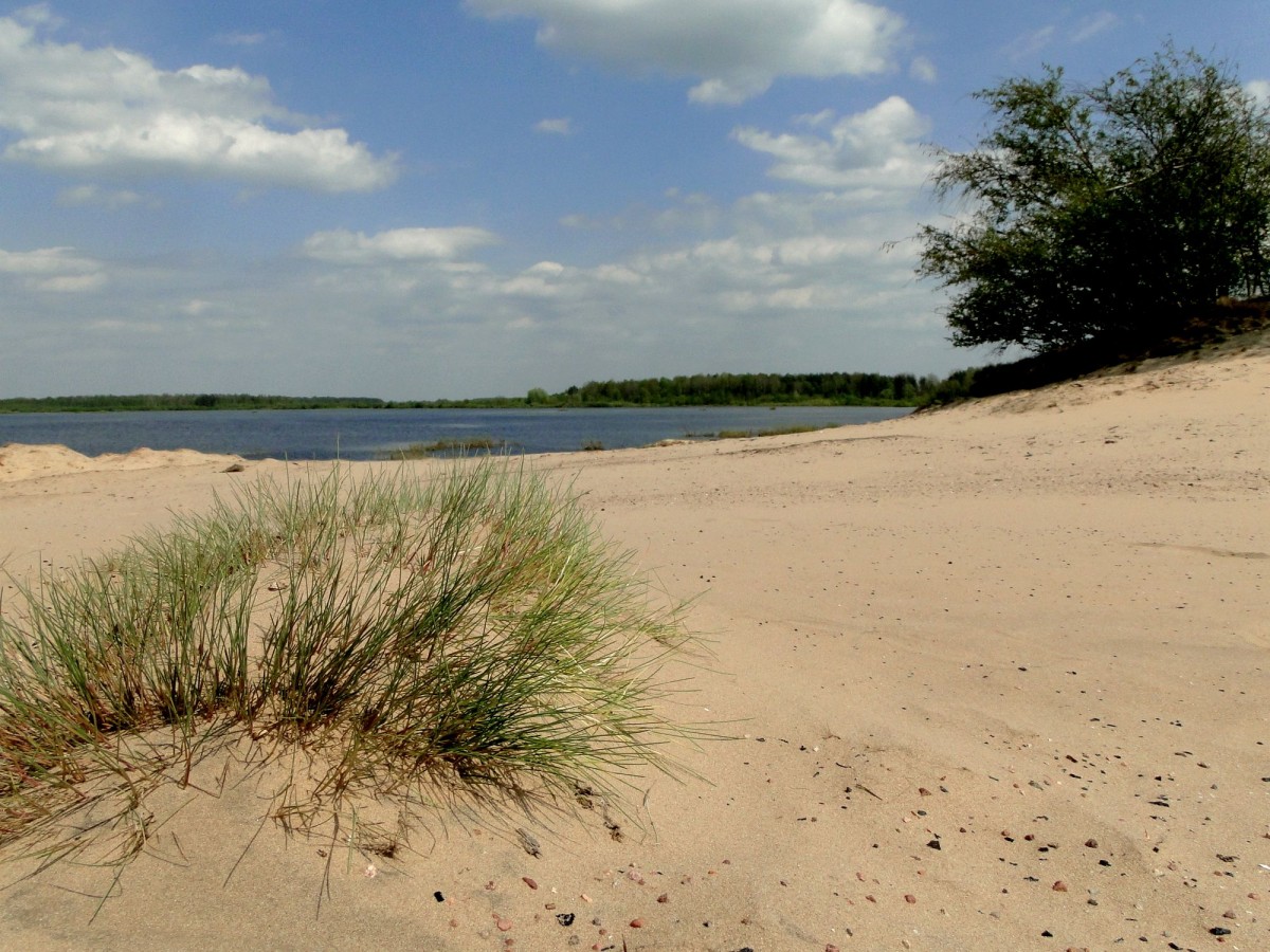 Zdjęcia: okolice wsi Grądy-Woniecko, Podlasie, Wydmy nad Narwią., POLSKA Zdjęcia: okolice wsi Grądy-Woniecko, Podlasie, Wydmy nad Narwią., POLSKA