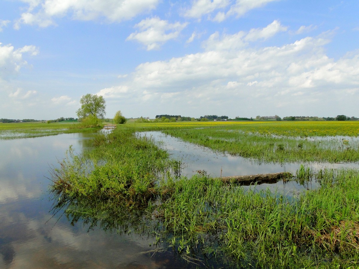 Zdjęcia: Dolina Narwi., Podlasie, Wiosenne Podlasie., POLSKA Zdjęcia: Dolina Narwi., Podlasie, Wiosenne Podlasie., POLSKA