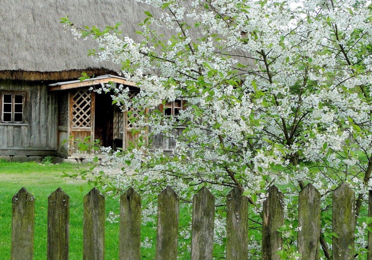 Zdjęcia: Wasilków k/Białegostoku, Podlasie, Podlaska wiosna., POLSKA Zdjęcia: Wasilków k/Białegostoku, Podlasie, Podlaska wiosna., POLSKA