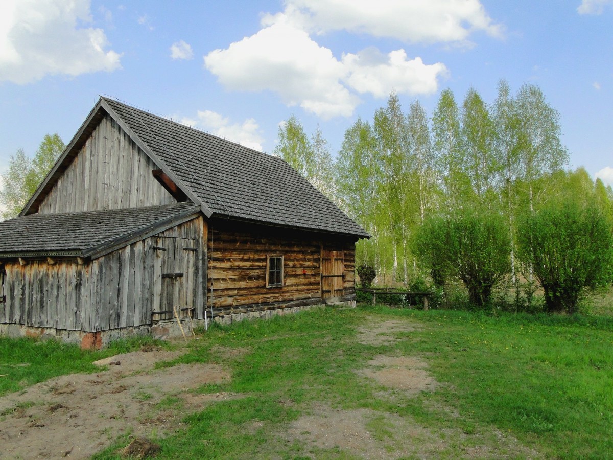 Zdjęcia: Wasilków k/Białegostoku, Podlasie, Podlaska wiosna., POLSKA Zdjęcia: Wasilków k/Białegostoku, Podlasie, Podlaska wiosna., POLSKA