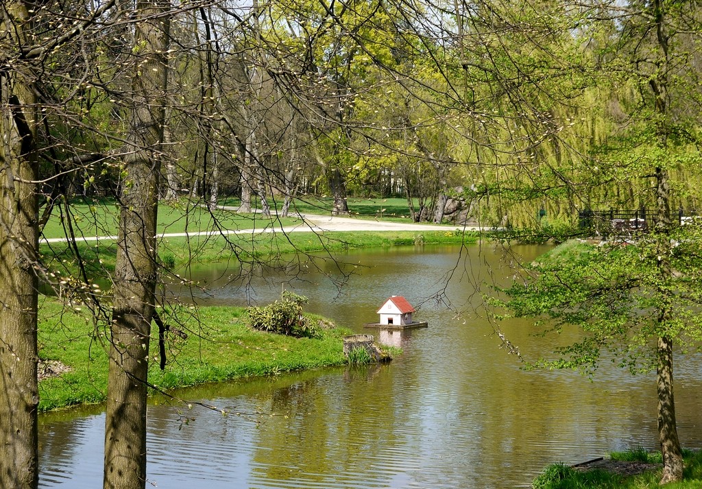 Zdjęcia: Tarce, wielkopolska, Staw parkowy, POLSKA Zdjęcia: Tarce, wielkopolska, Staw parkowy, POLSKA