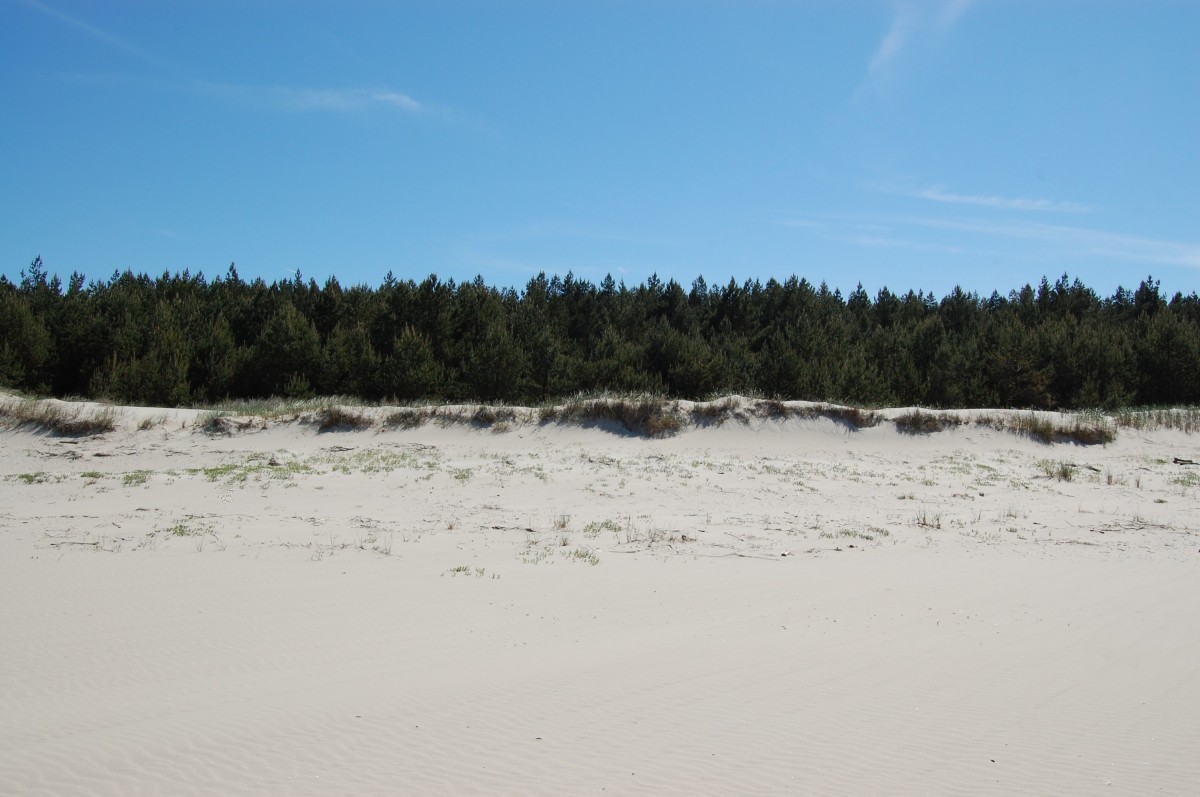 Zdjęcia: Świnoujście, zachodniopomorskie, Wydmy na bezludnej plaży niedaleko Świnoujścia-Przytór, POLSKA Zdjęcia: Świnoujście, zachodniopomorskie, Wydmy na bezludnej plaży niedaleko Świnoujścia-Przytór, POLSKA