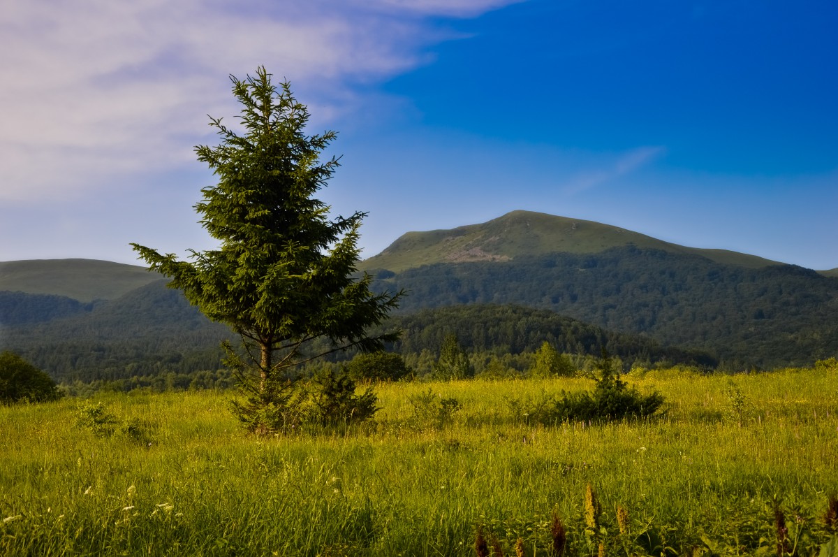 Zdjęcia: Bieszczady, Podkarpacie, Jedź W Bieszczady, Jedź!, POLSKA Zdjęcia: Bieszczady, Podkarpacie, Jedź W Bieszczady, Jedź!, POLSKA