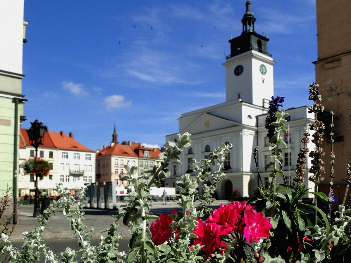 Zdjęcia: Kalisz, Wielkopolska, Lato w Kaliszu., POLSKA Zdjęcia: Kalisz, Wielkopolska, Lato w Kaliszu., POLSKA