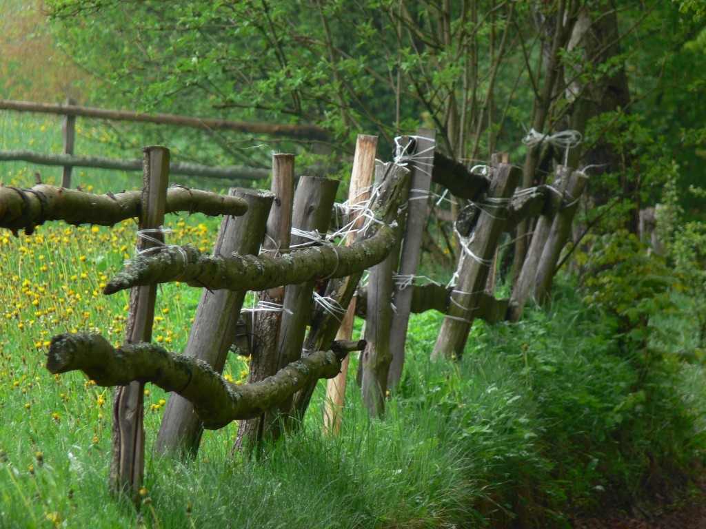 Zdjęcia: Szymbark, Szwajcaria Kaszubska, Płot, POLSKA Zdjęcia: Szymbark, Szwajcaria Kaszubska, Płot, POLSKA