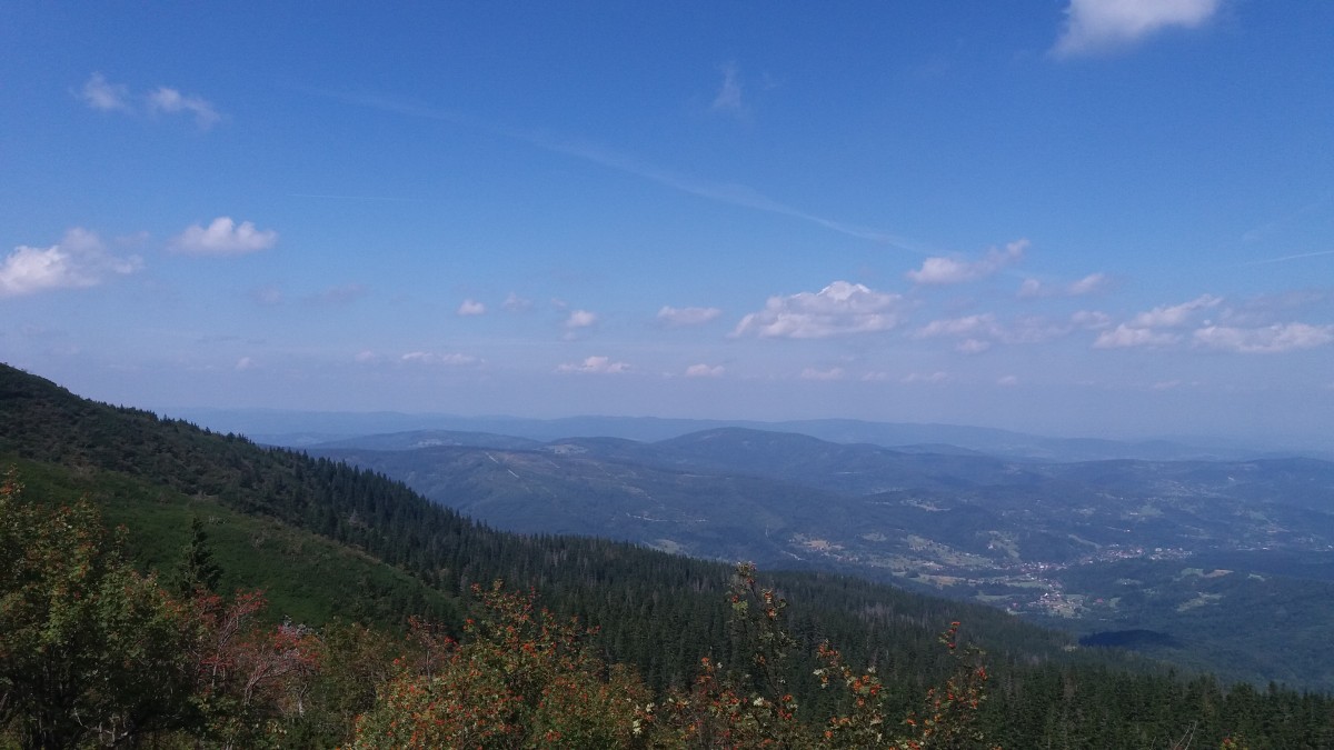 Zdjęcia: Babia Góra, Babia Góra, POLSKA Zdjęcia: Babia Góra, Babia Góra, POLSKA