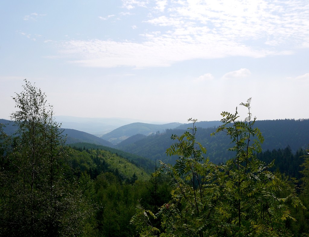 Zdjęcia: Rybnica Leśna, dolnosląskie, Widok na Góry Suche, POLSKA Zdjęcia: Rybnica Leśna, dolnosląskie, Widok na Góry Suche, POLSKA