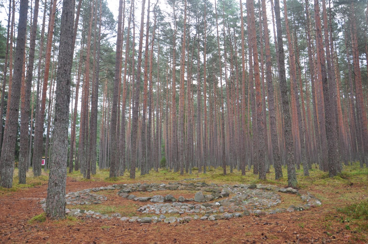 Zdjęcia: Grzybniczka, zachodniopomorskie, Rezerwat Kamienne Kręgi w Grzybnicy , POLSKA Zdjęcia: Grzybniczka, zachodniopomorskie, Rezerwat Kamienne Kręgi w Grzybnicy , POLSKA