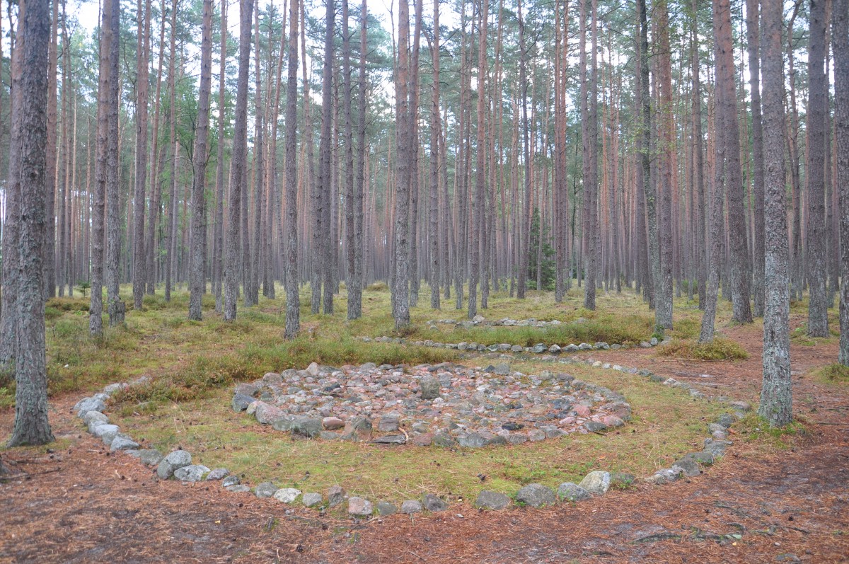 Zdjęcia: Koszalin, zachodniopomorskie, Kamienne bruki w rezerwacie , POLSKA Zdjęcia: Koszalin, zachodniopomorskie, Kamienne bruki w rezerwacie , POLSKA