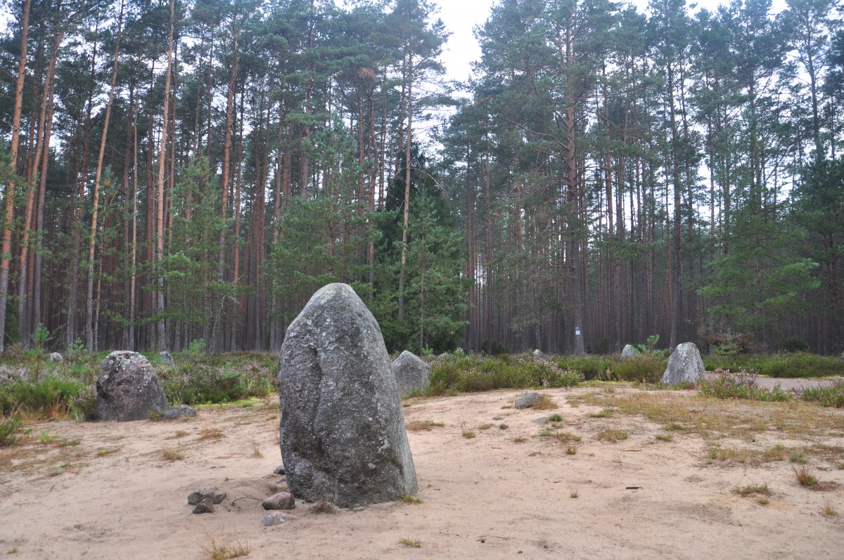 Zdjęcia: Grzybnica, zachodniopomorskie, Kamienne Kręgi w Grzybnicy, POLSKA Zdjęcia: Grzybnica, zachodniopomorskie, Kamienne Kręgi w Grzybnicy, POLSKA