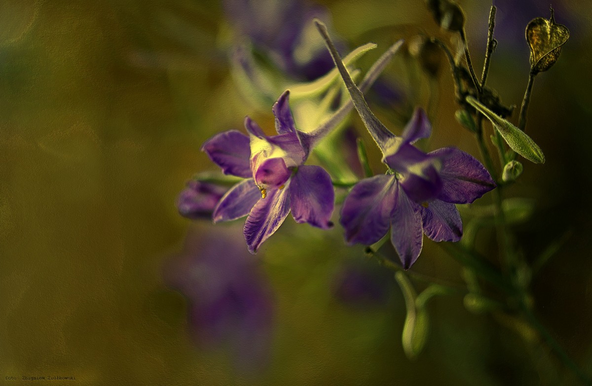 Zdjęcia: Polska, Polska, W stronę światła, POLSKA Zdjęcia: Polska, Polska, W stronę światła, POLSKA