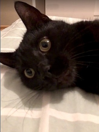 Zdjęcia: Opole, opolskie, Bonifacy, POLSKA Zdjęcia: Opole, opolskie, Bonifacy, POLSKA