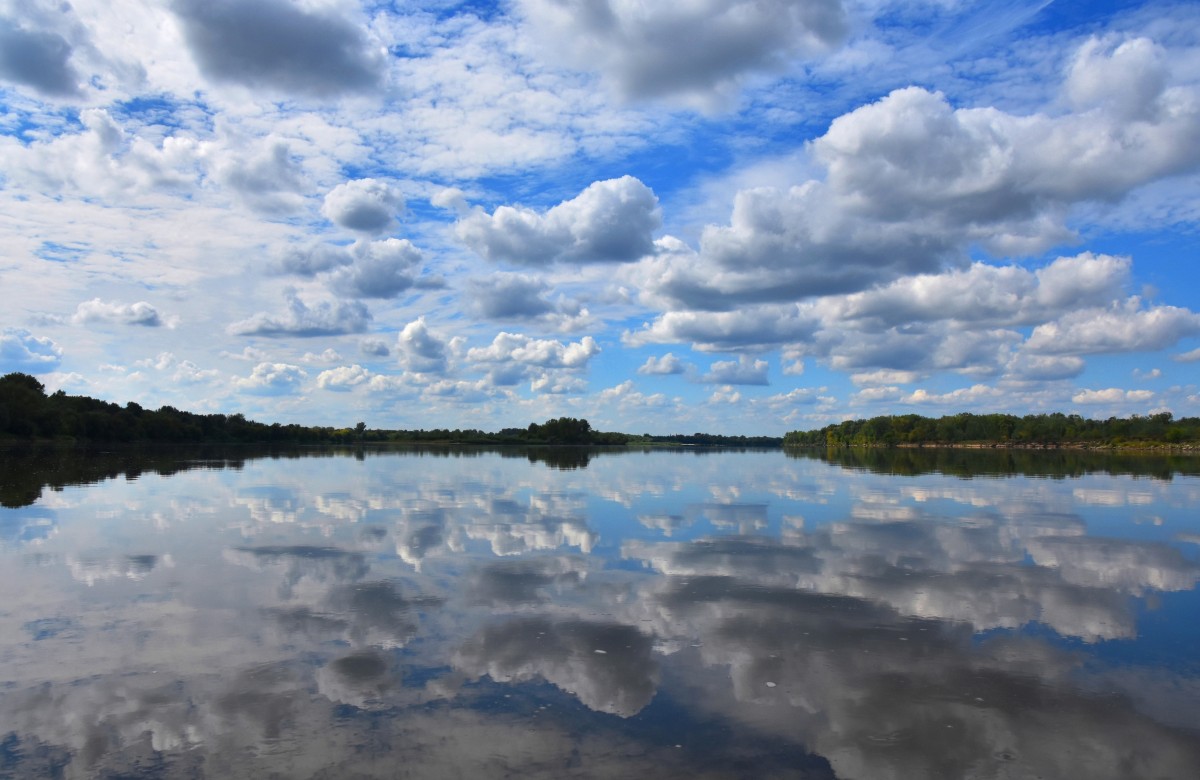 Zdjęcia okolice Modlina, woj. mazowieckie, No może to nie Amazonka ale
