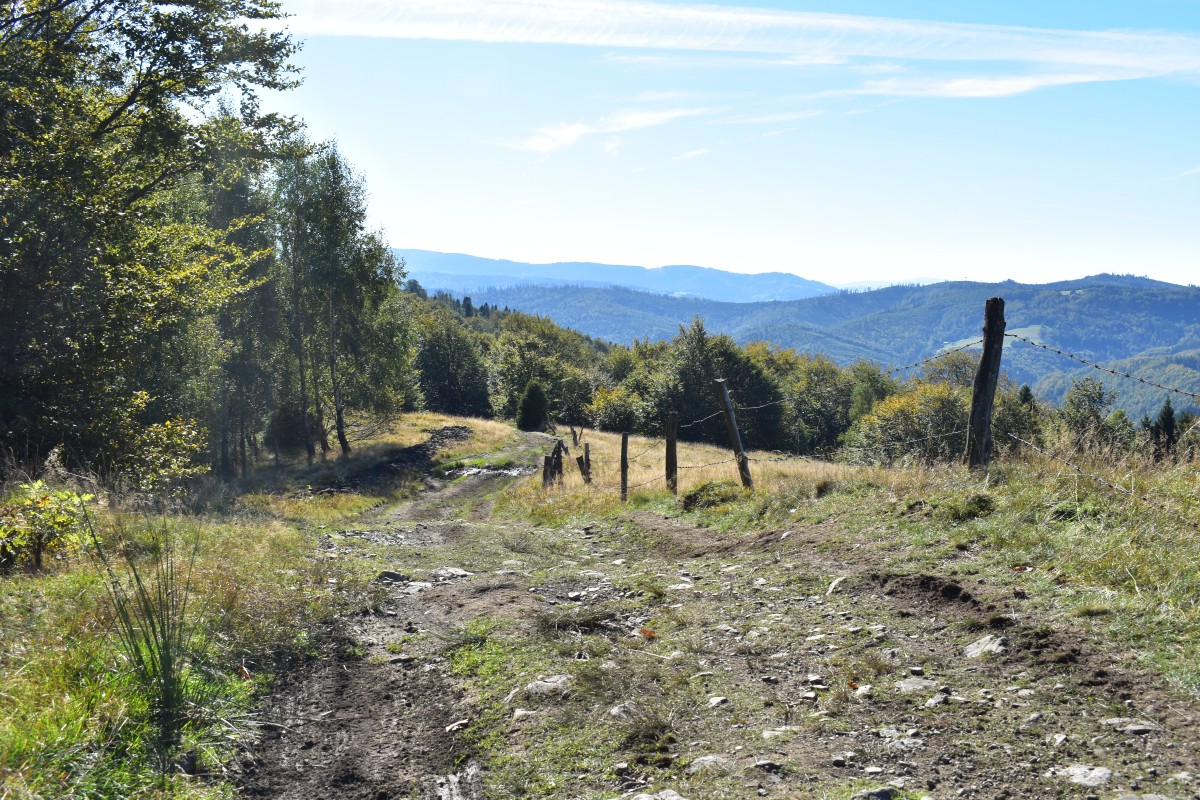Zdjęcia: Beskid Śląski, Droga..., POLSKA Zdjęcia: Beskid Śląski, Droga..., POLSKA