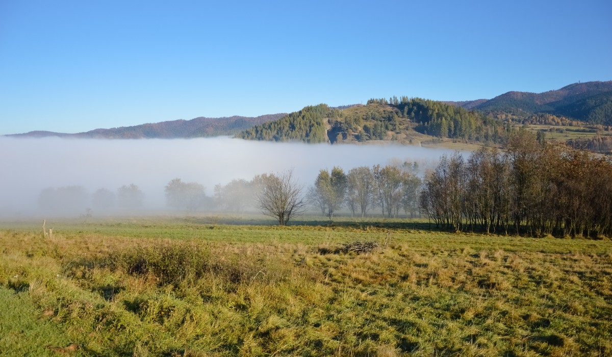 Zdjęcia: Czorsztyn, Małopolska, W Białym Uścisku, POLSKA Zdjęcia: Czorsztyn, Małopolska, W Białym Uścisku, POLSKA