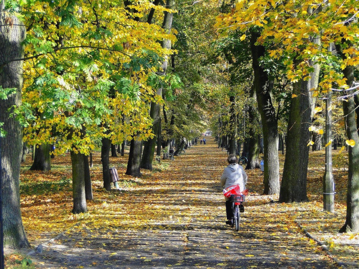 Zdjęcia: Lubartów, Lubelszczyzna, Jesień w Lubartowie., POLSKA Zdjęcia: Lubartów, Lubelszczyzna, Jesień w Lubartowie., POLSKA