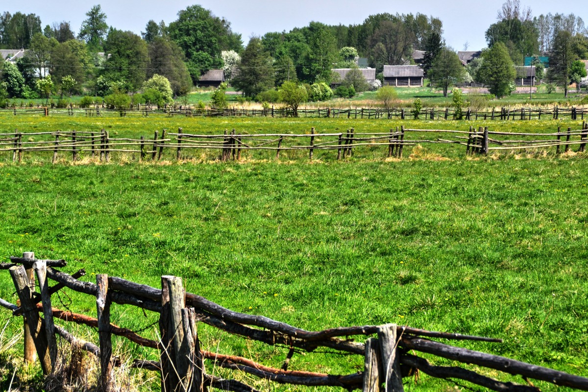 Zdjęcia: Toporki, Podlaskie, Gdzieś za wsią, POLSKA Zdjęcia: Toporki, Podlaskie, Gdzieś za wsią, POLSKA