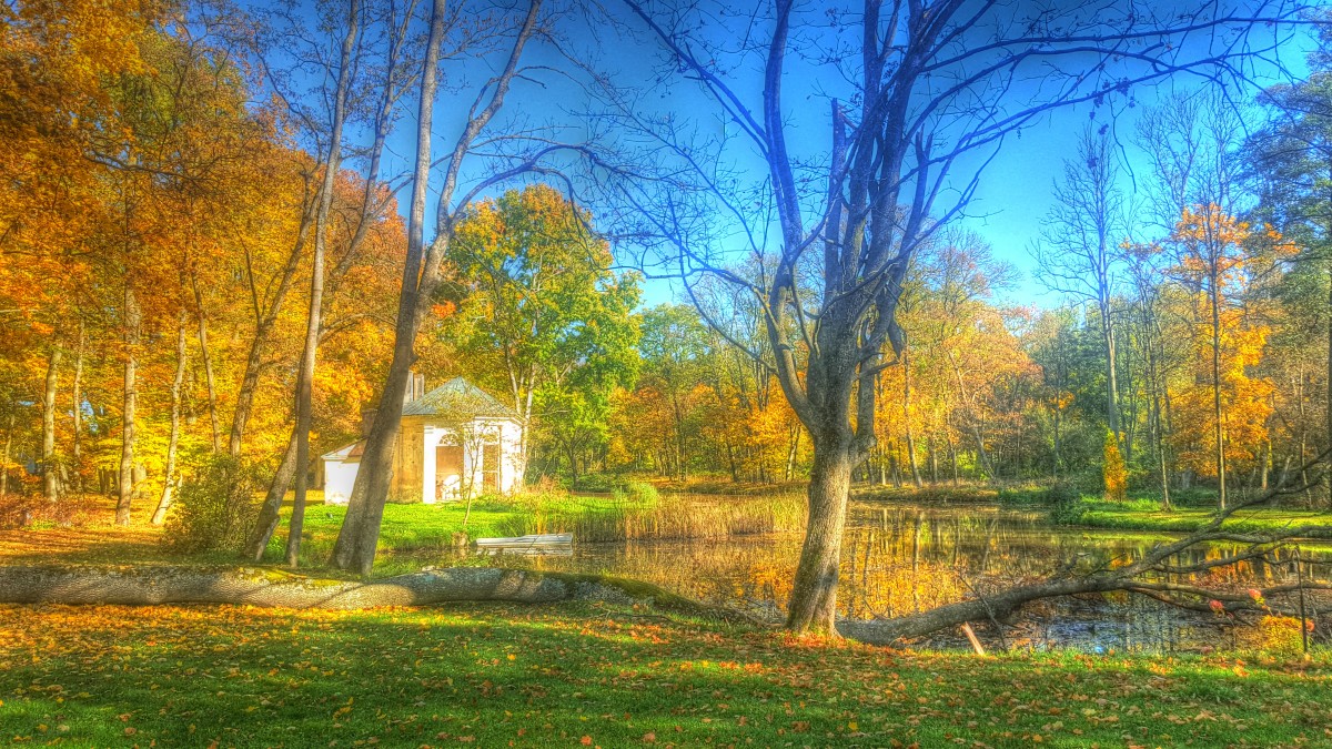 Zdjęcia: Cieleśnica, Lubelszczyzna, Jesień w przypałacowym parku, POLSKA Zdjęcia: Cieleśnica, Lubelszczyzna, Jesień w przypałacowym parku, POLSKA