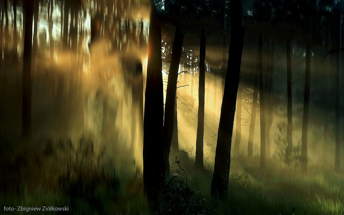 Zdjęcia: Dolina Brdy, Bory Tucholskie, Już niedługo...., POLSKA Zdjęcia: Dolina Brdy, Bory Tucholskie, Już niedługo...., POLSKA