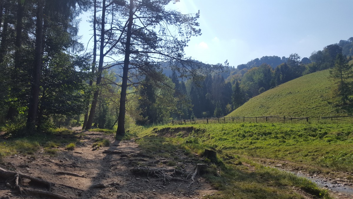 Zdjęcia: Pieniny, małopolska, Na Pienińskich szlakach, POLSKA Zdjęcia: Pieniny, małopolska, Na Pienińskich szlakach, POLSKA