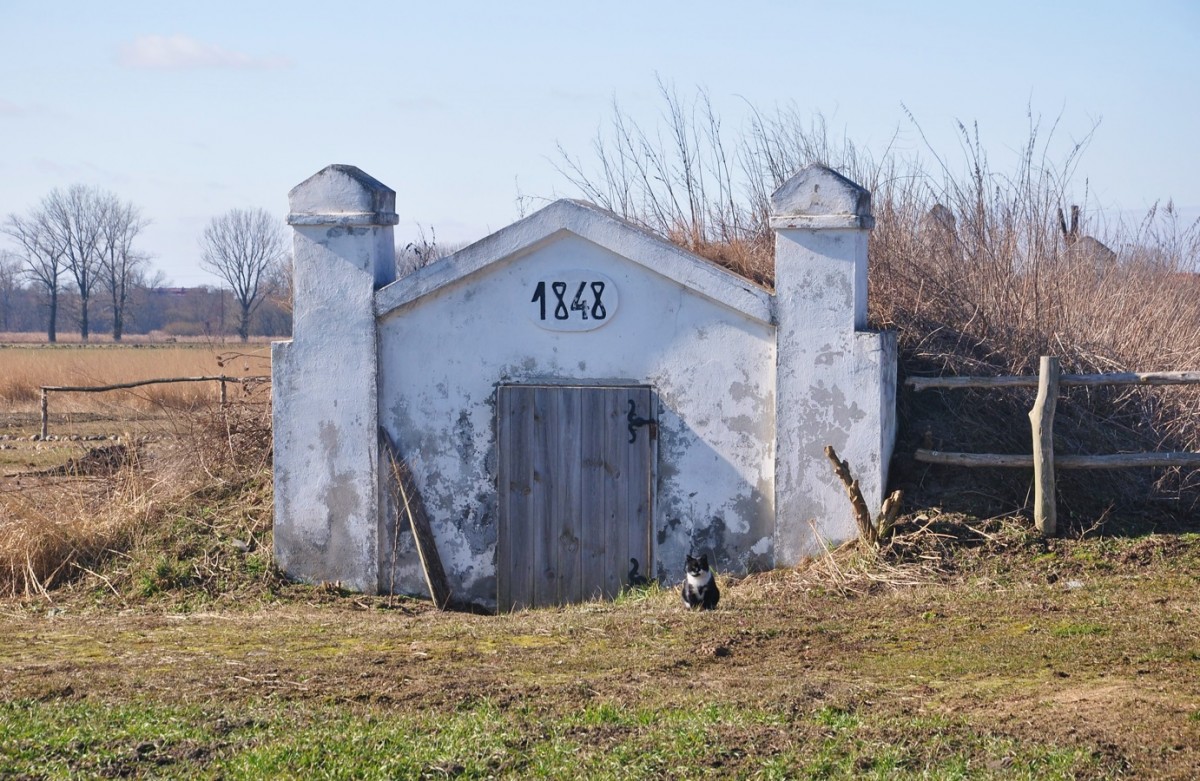 Zdjęcia: Kwiatówek, łódzkie, Ziemianka z XIX wieku i kot "strażnik", POLSKA Zdjęcia: Kwiatówek, łódzkie, Ziemianka z XIX wieku i kot "strażnik", POLSKA