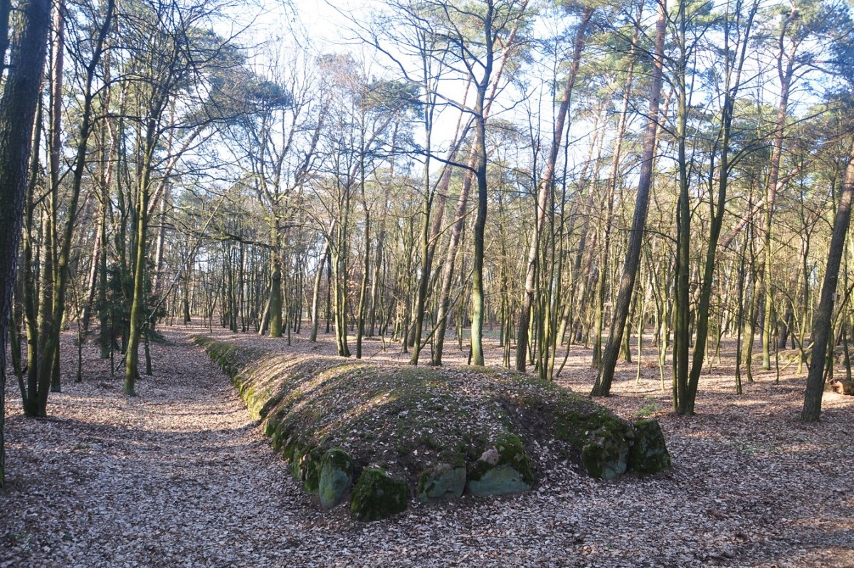 Zdjęcia: Wietrzychowice, kujawsko-pomorskie, Starsze od egipskich piramid. Megality w Wietrzychowicach, POLSKA Zdjęcia: Wietrzychowice, kujawsko-pomorskie, Starsze od egipskich piramid. Megality w Wietrzychowicach, POLSKA