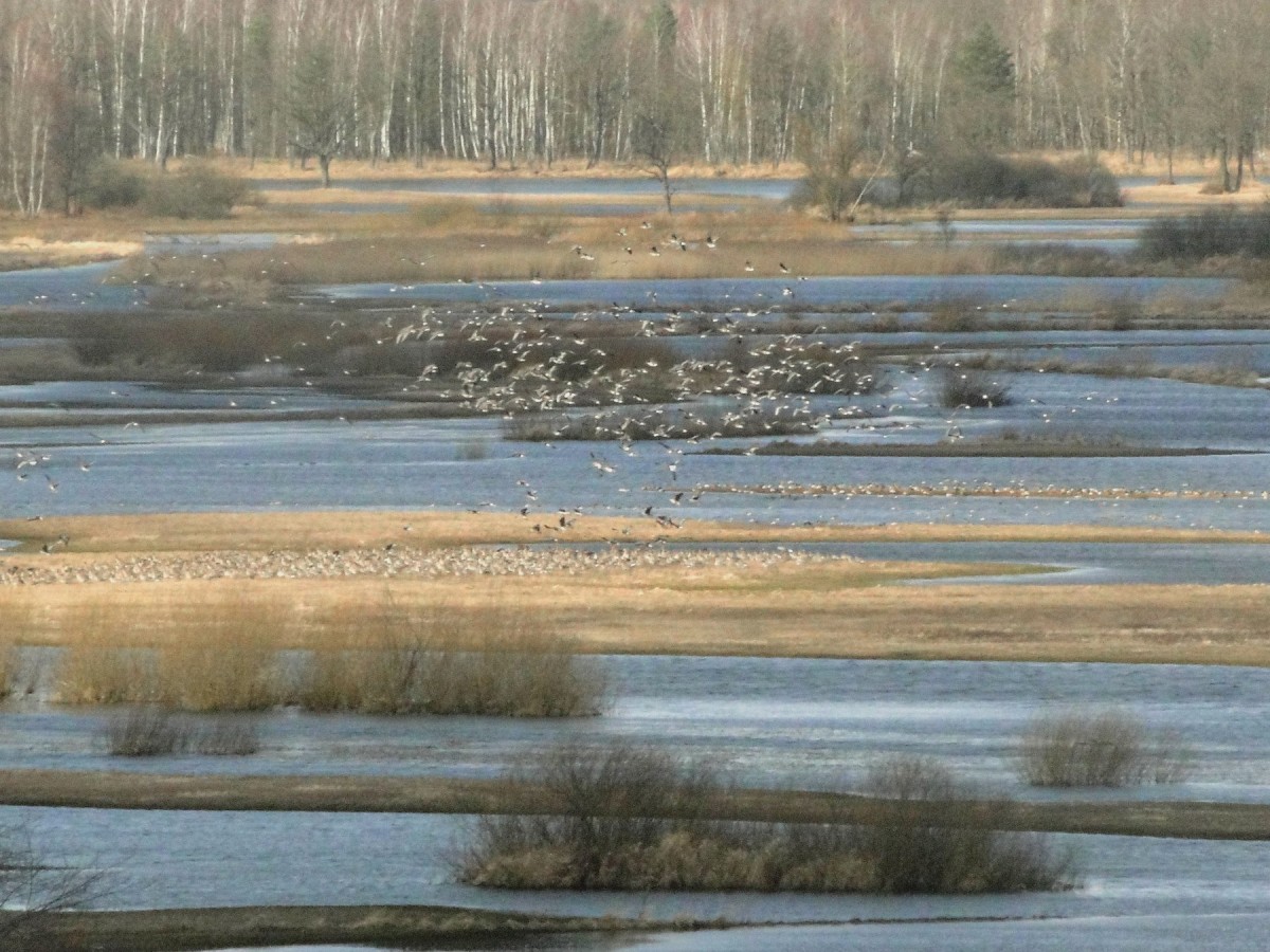 Zdjęcia: Góra Strękowa., Podlasie, Podlaskie przedwiośnie., POLSKA Zdjęcia: Góra Strękowa., Podlasie, Podlaskie przedwiośnie., POLSKA