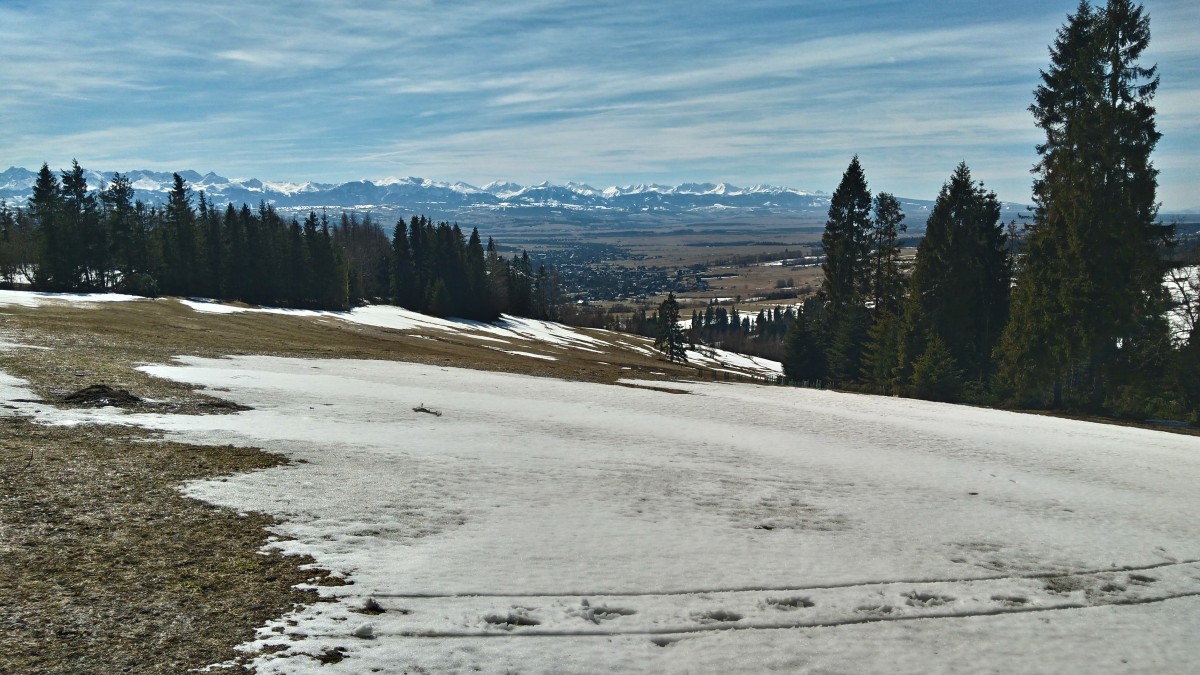 Zdjęcia: gdzieś na niebieskim szlaku, Gorce, W drodze na Stare Wierchy, POLSKA Zdjęcia: gdzieś na niebieskim szlaku, Gorce, W drodze na Stare Wierchy, POLSKA