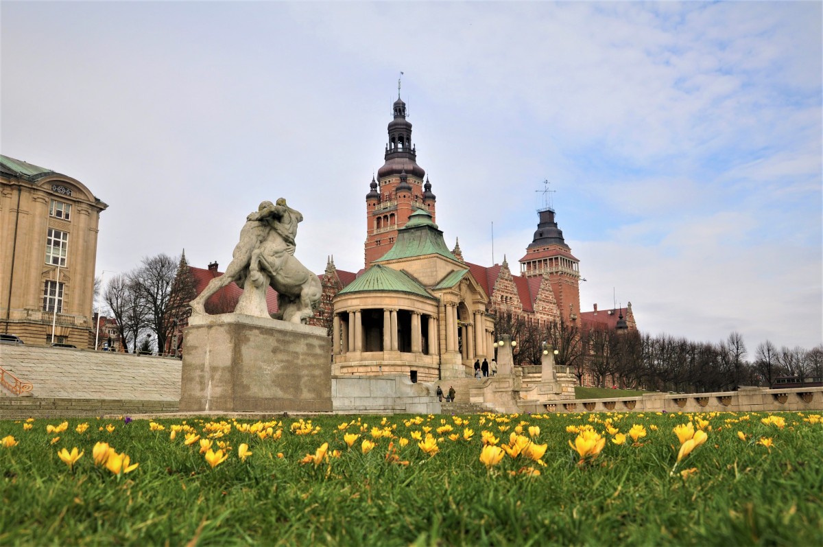 Zdjęcia: Szczecin, zachodniopomorskie, Krokusy na Wałach Chrobrego, POLSKA Zdjęcia: Szczecin, zachodniopomorskie, Krokusy na Wałach Chrobrego, POLSKA